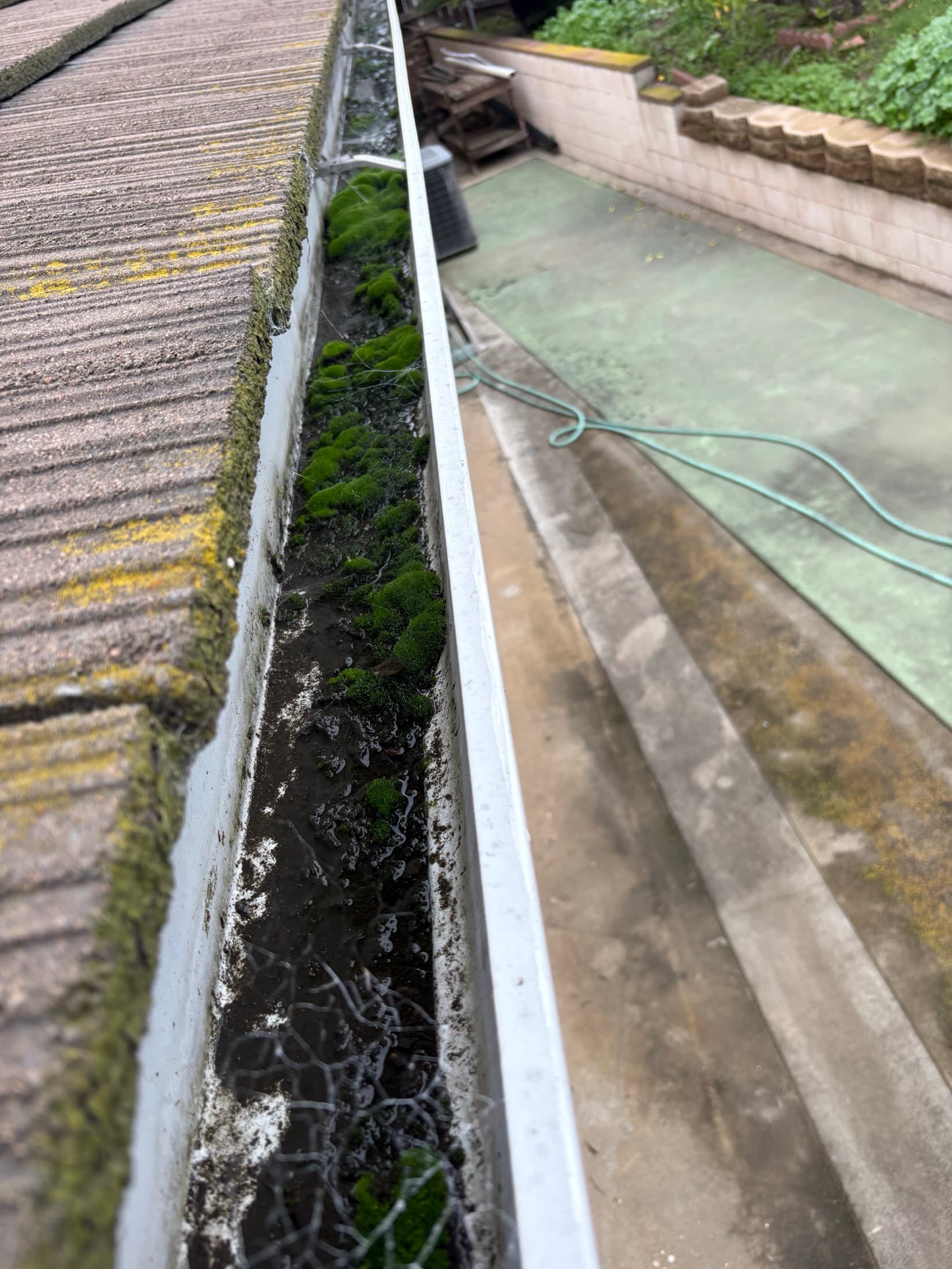 Gutter full of moss and debris before gutter cleaning in El Cajon